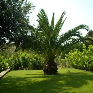 Sole E Mare Casa vacanze Stintino
